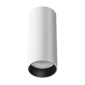 LED луна за външен монтаж Maytoni FOCUS LED C056CL-L12W4K-W-W