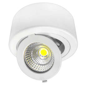 LED Луни за външен монтаж, COB, 12W, 220V, 990lm, 6000K, 45°, IP20