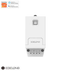 Димируем безжичен RF+WiFi контролер Ebelong ERC1206-W 12-24VDC 9A max. 216W за едноцветни LED ленти и модули