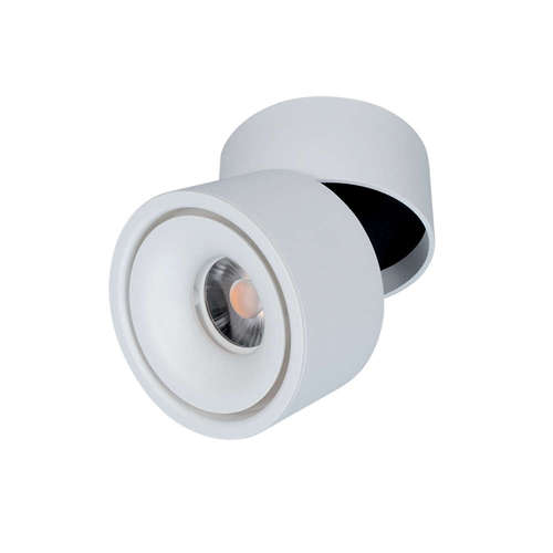 LED луни за външен монтаж, COB, 10W, 220V, 800lm, 2700K, 36°, IP40, подвижно тяло