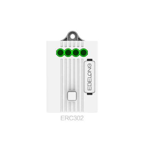 RF едноканален контролер 433Mhz, 100-240VAC, 5A, 1100W, LED 600W Ebelong ERC302