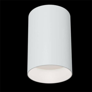 Луна за външен монтаж Maytoni Alfa C014CL-01W