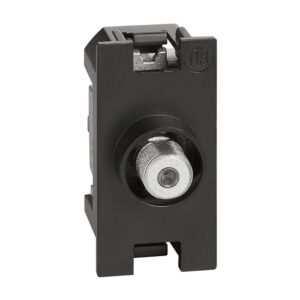 TV розетка тип F Bticino Living Now K4202F