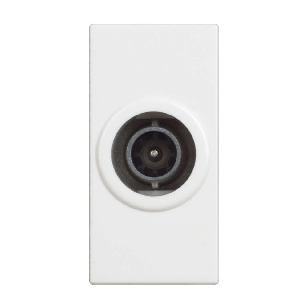 TV розетка Bticino Classia RW4202P10