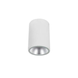 LED луна Dermot Viokef 4334800 IP65 бяла
