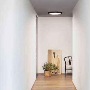 Ideal Lux Ray PL D60 327686 - плафон, монтиран на таван Ideal Lux Ray PL D60 327686 - плафон, монтиран на таван