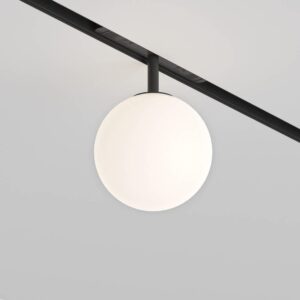 SMART LED лампа със стъклена сфера Maytoni Exility Luna TR038-4-5W3K-WW-DS-1, с черен адаптер, общ изглед върху релсата