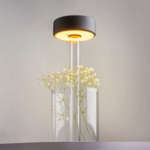 Maytoni AI Collaboration MOD229TL-L3B3K1 - студиен изглед с цветя в стъклената основа