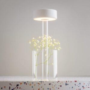 Maytoni AI Collaboration MOD229TL-L3W3K1 - студиен изглед с цветя в стъклената основа