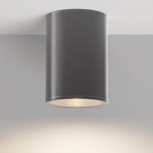 Maytoni Bar O306CL-L12GF - цилиндричен външен LED плафон в цвят графит