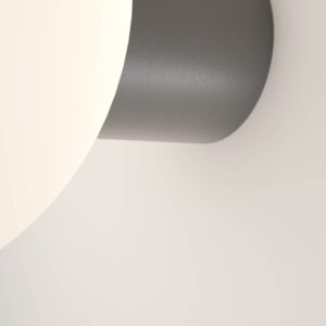 Maytoni Bold O598WL-01GR1 - детайл на лампата Външен аплик Maytoni Bold O598WL-01GR1, детайл на лампата