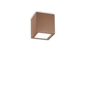 Външен плафон Ideal Lux Techo PL1 D09 Square 251592 в кафяво - основен изглед