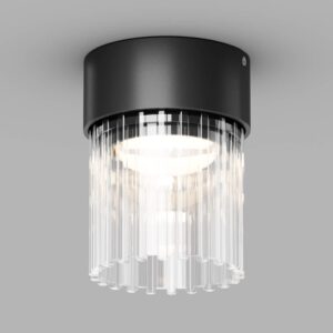 Външен плафон Maytoni Glaris O181CL-L8BK, основен изглед