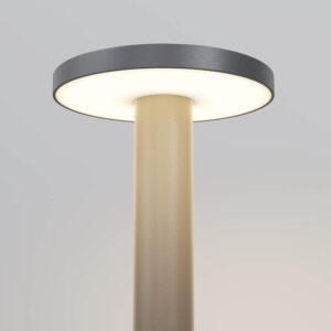 Maytoni Wald O420FL-L12GF - детайл на главата и светлинната повърхност