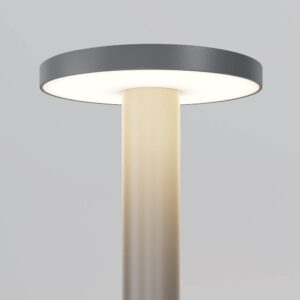 Maytoni Wald O420FL-L12GF1 - детайл на главата и светлинната повърхност Maytoni Wald O420FL-L12GF1 - детайл на главата и светлинната повърхност