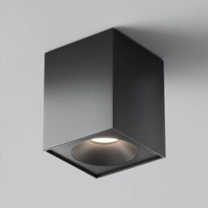 Луна за таван Maytoni Zoom C030CL-01B, основен продуктов изглед