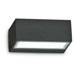 Ideal Lux Twin AP1 115375 - алуминиев фасаден аплик с черно покритие и видим долен стъклен дифузер